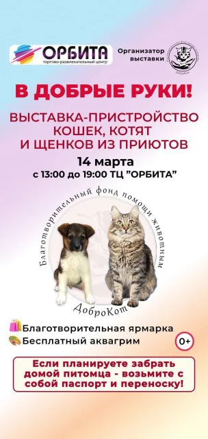 Благотворительная выставка-пристройство кошек, котят и щенков из приютов пройдет в ТЦ «Орбита» Люберец в субботу, 14 марта