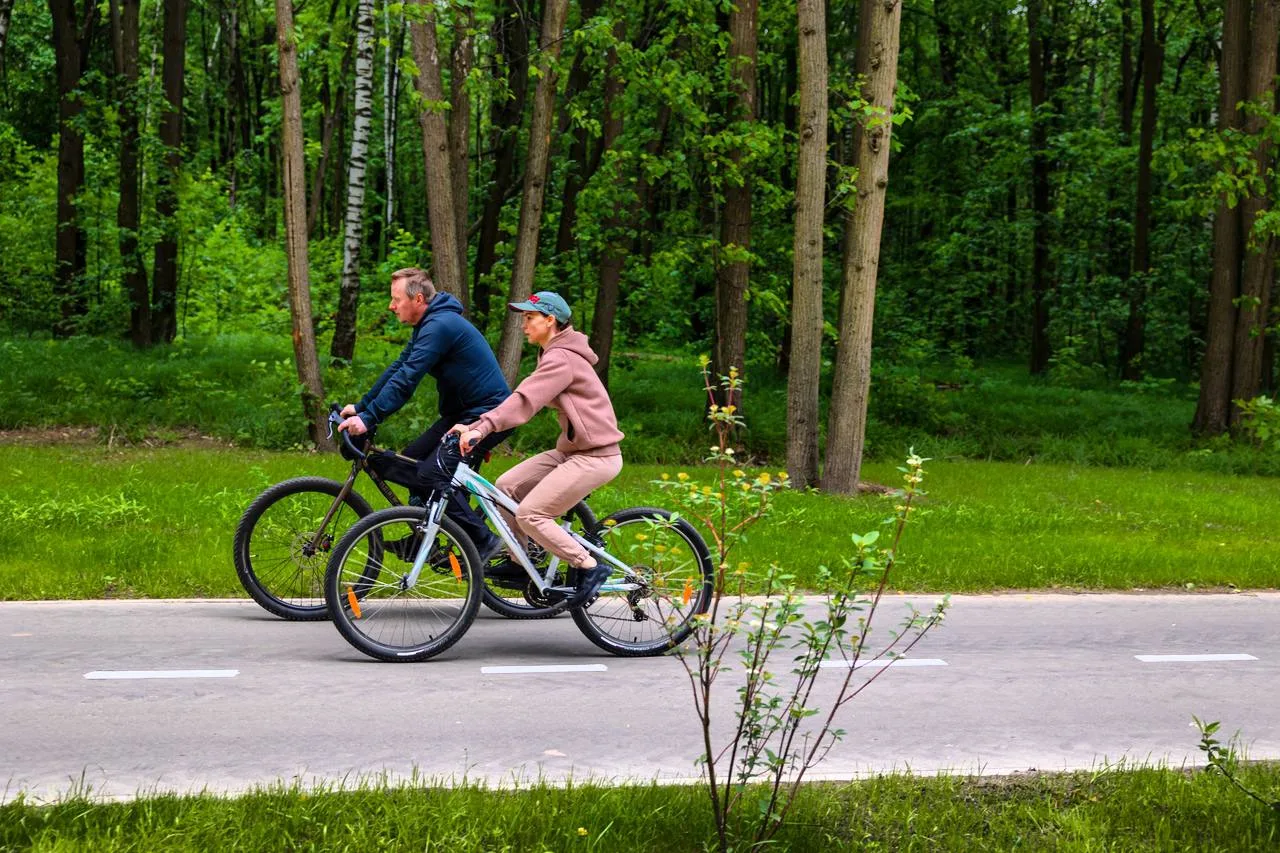 Более 638 тысяч человек посетили Наташинский парк в Люберцах