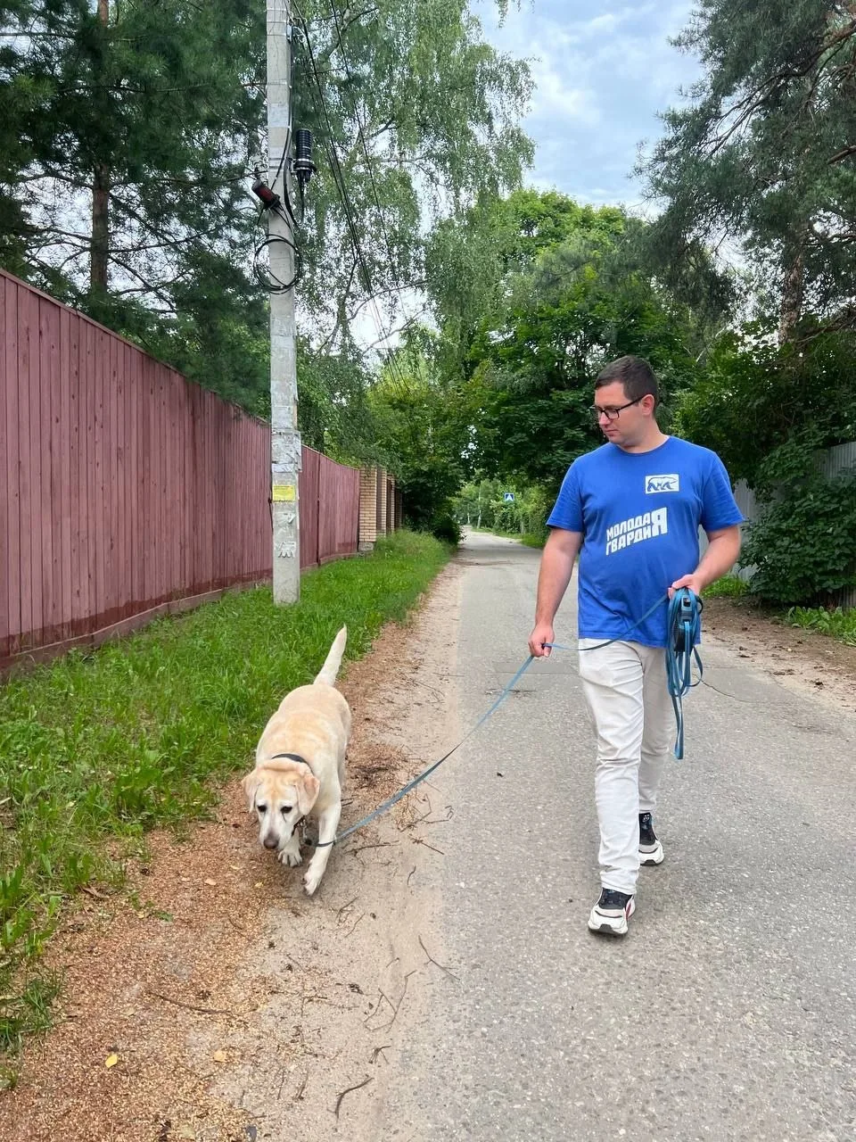 Активисты МГЕР помогли семье мобилизованного из Люберец с выгулом собак
