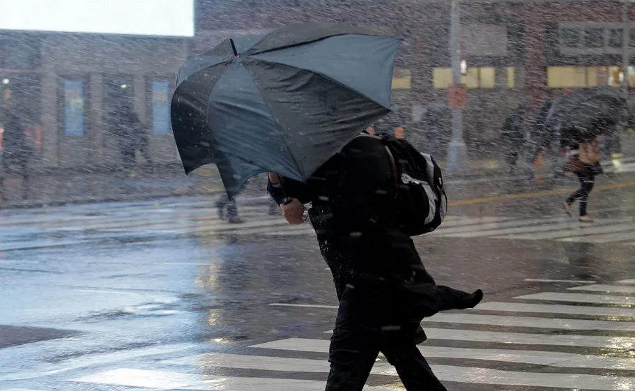 Жителей Люберец предупредили об усилении ветра и сильном дожде