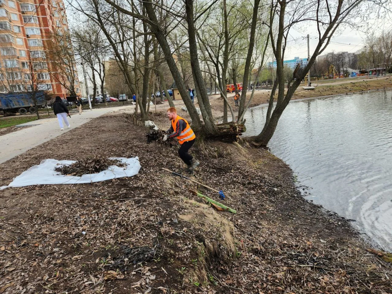 Наташинские пруды в Люберцах расчистили в текущем сезоне
