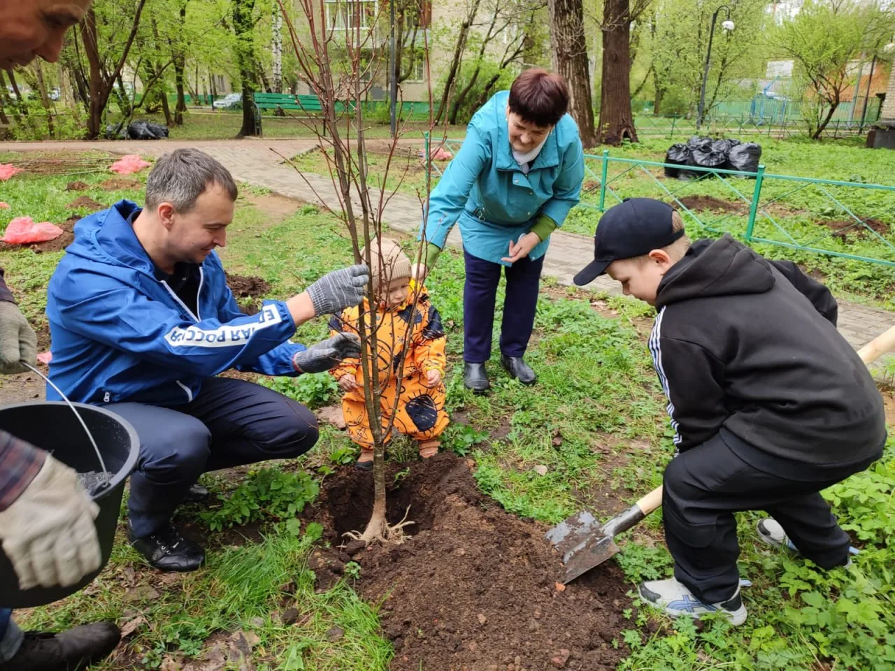 Активные жители высадили липовую аллею на придомовой территории в поселке Люберец