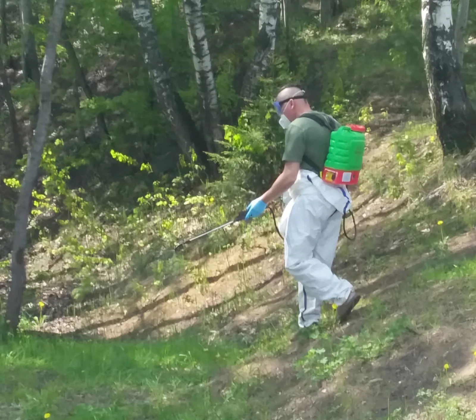 Территорию Кореневского карьера в Люберцах обработали от клещей