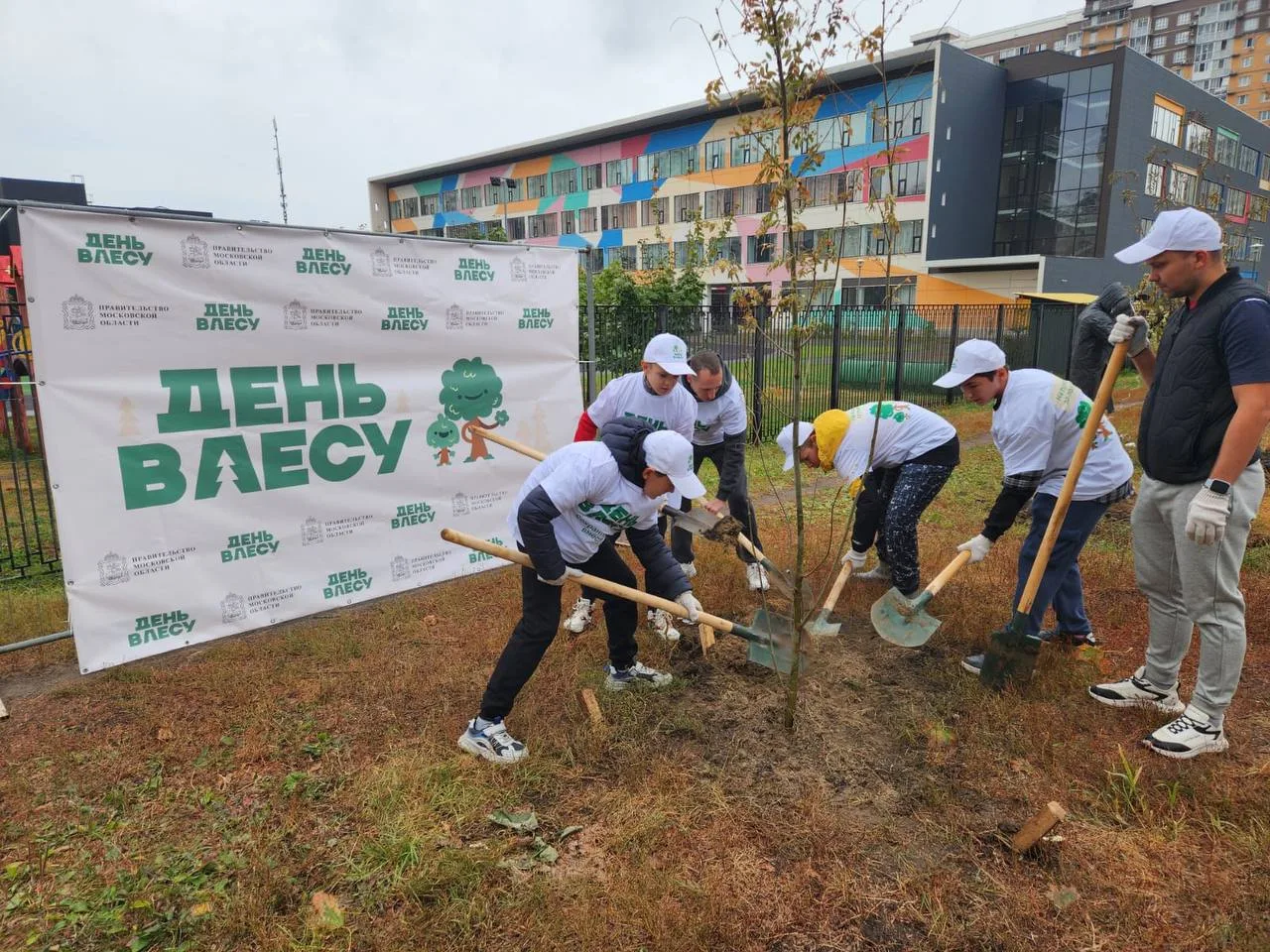 Самбисты Люберец посадили деревья в рамках экоакции «День в лесу. Сохраним лес вместе»