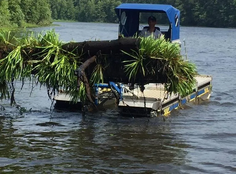 В процессе расчистки реки в Люберцах извлечено более 100 тысяч кубометров иловых отложений