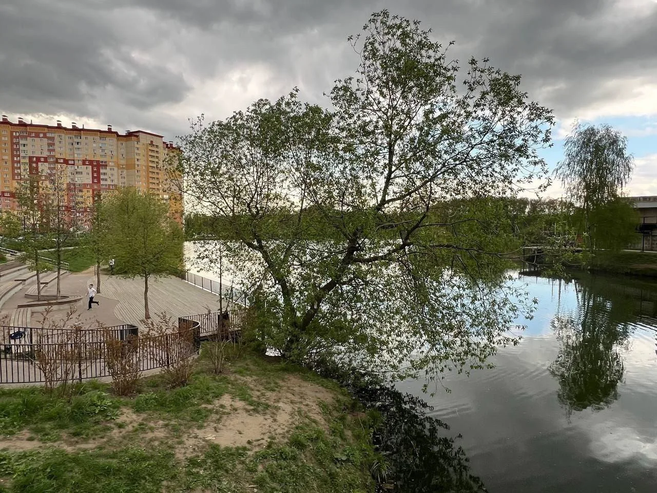 Пруд в деревне Островцы городского округа Люберцы стал чище после запуска специальных зеленых водорослей