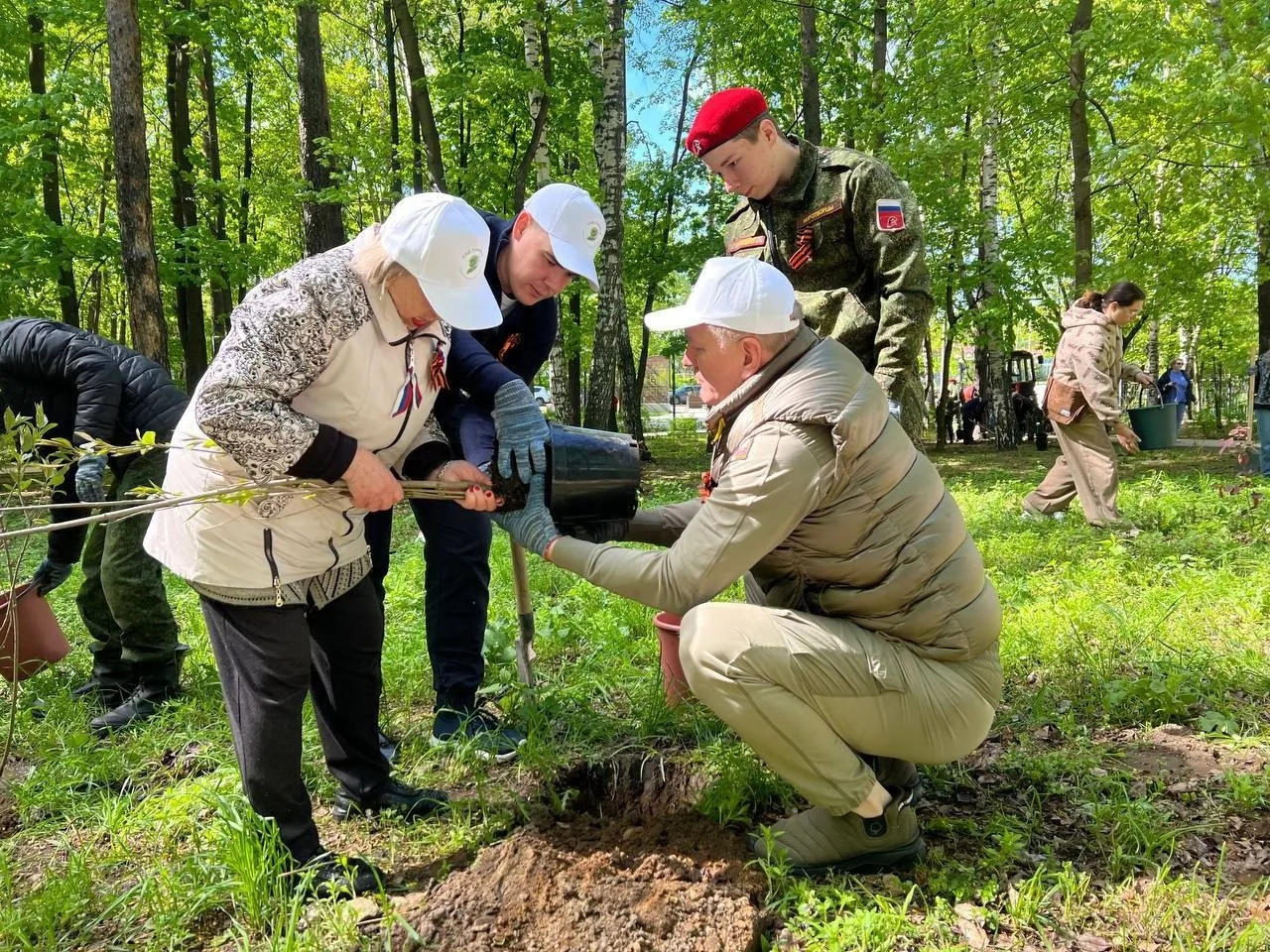 Более ста кустов сирени высадили в парке Люберец
