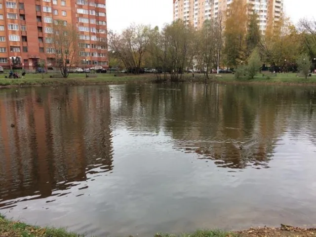 В Люберцах в рамках подготовки к зиме уберут территорию Ухтомского пруда