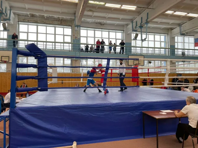 Боксеры Люберец завоевали семь медалей на зональном областном первенстве