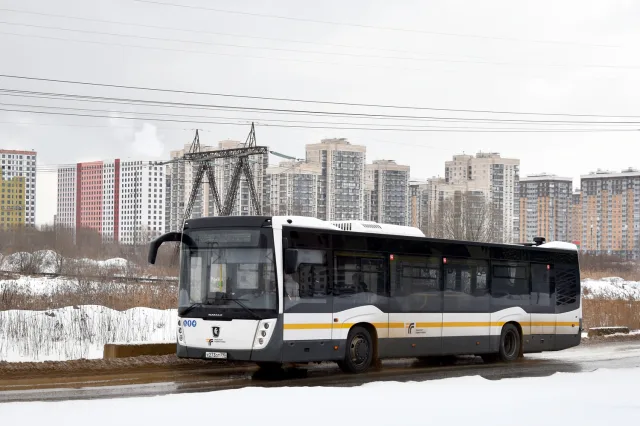 В дни религиозных праздников в Люберцах будут работать дополнительные автобусы