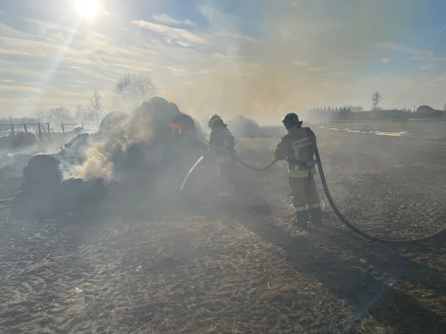 Жителей Люберец предупредили о последствиях пала травы