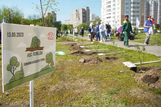 Более 5 тысяч жителей Люберец поучаствовали в посадке деревьев в рамках акции «Лес Победы»