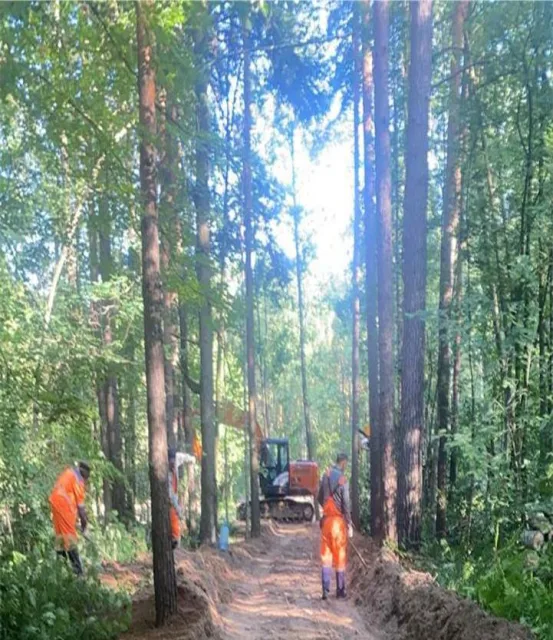 В новом парке поселка Люберец высадят более 120 деревьев и кустарников