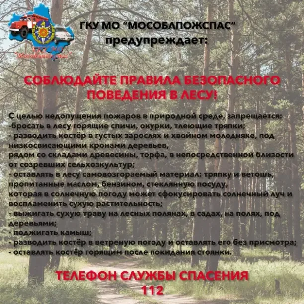 Спасатели рассказали жителям Люберец, как следует подготовиться к походу в лес