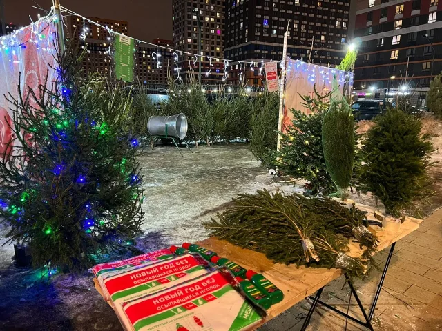 В начале декабря в городском округе Люберцы начнут работу 13 елочных базаров