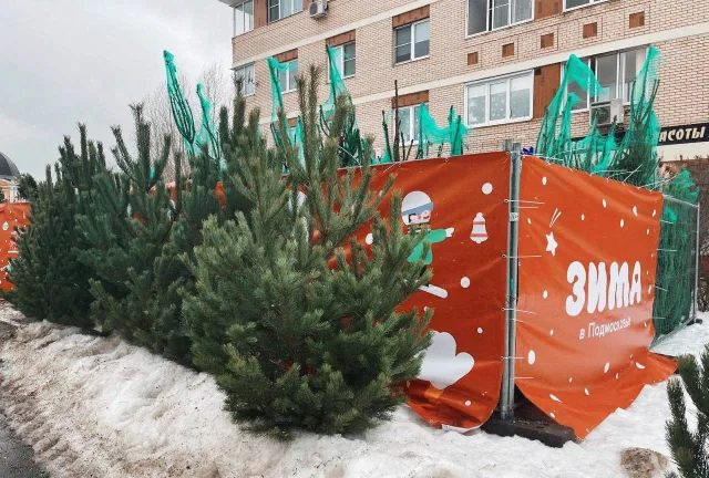 В Люберцах работают более 30 елочных базаров