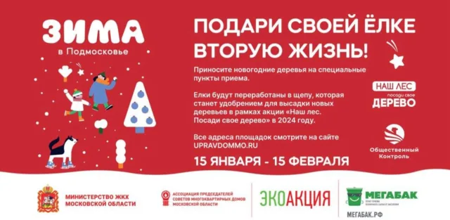 В Люберцах организуют 10 пунктов приема новогодних елок на вторичную переработку