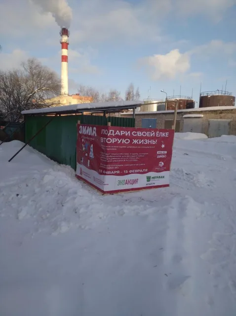 В Люберцах работают 10 пунктов приема новогодних елок для вторичной переработки