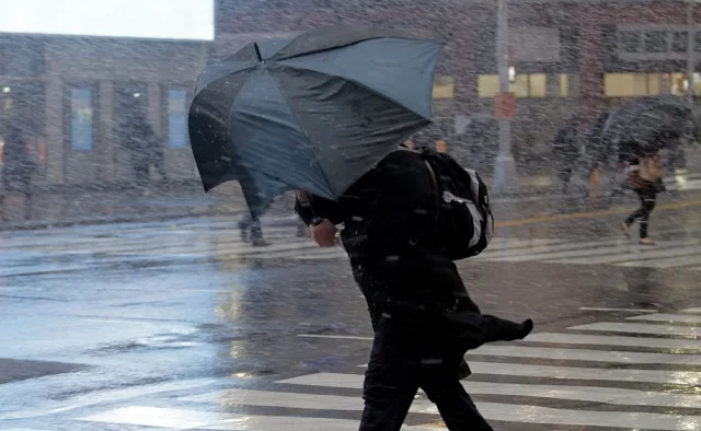 Жителей Люберец предупредили об усилении ветра и сильном дожде