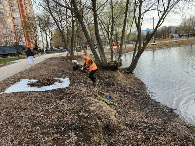 Наташинские пруды в Люберцах расчистили в текущем сезоне
