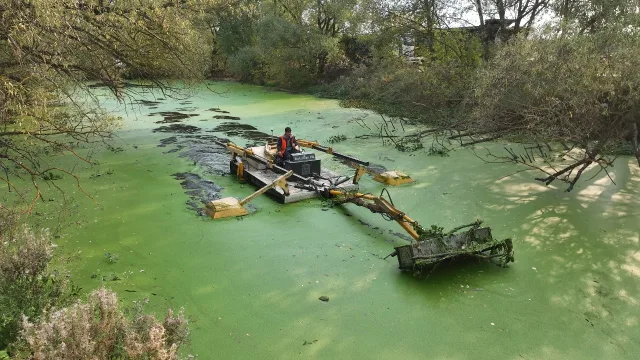 В деревне Люберец в ноябре завершат очистку пруда