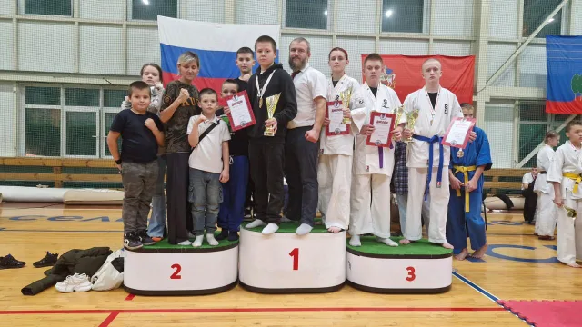 Пять медалей различного достоинства завоевали люберецкие кудоисты на Первенстве Подмосковья