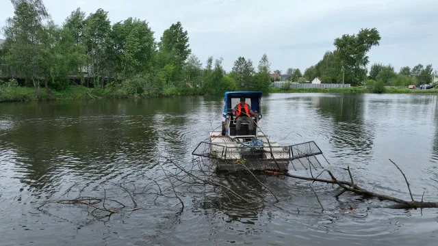 В течение трех дней завершится расчистка Директорского пруда в СНТ Люберец