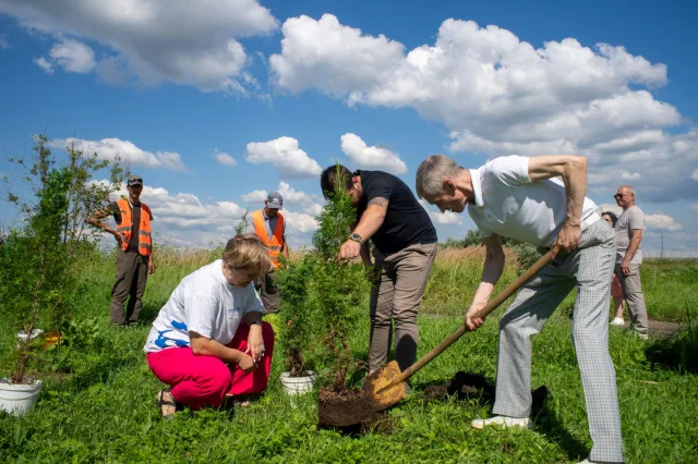 Люберецкие единороссы посадили туи на берегу Островецкого озера