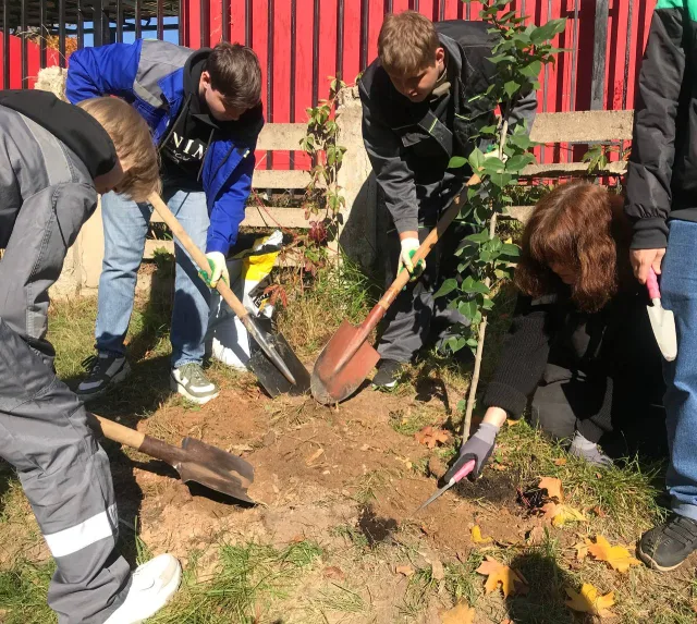 Сиреневая аллея появилась на территории Культурно-эстетического центра Дзержинского Люберец