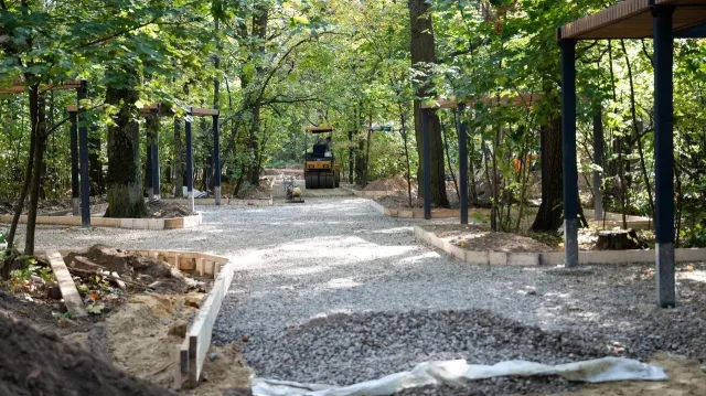 Название благоустроенной части Томилинского лесопарка выберут жители Люберец