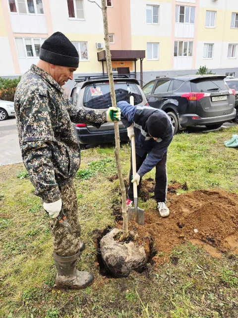 Более 20 саженцев лип и кленов высадили возле ЖК Люберец во время экологической акции