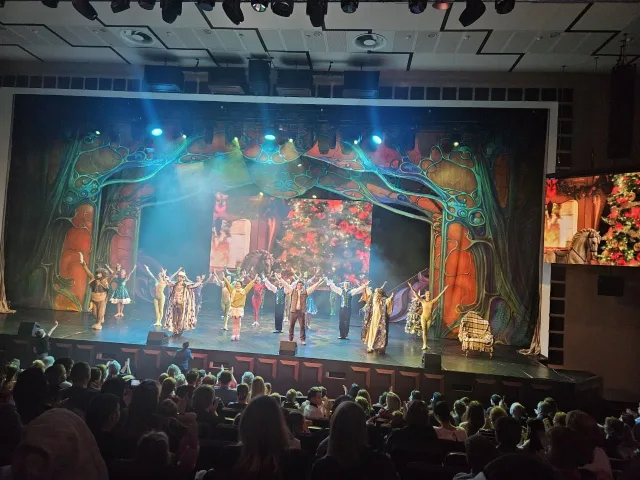 Семьи участников СВО из Люберец побывали на представлении в Москве